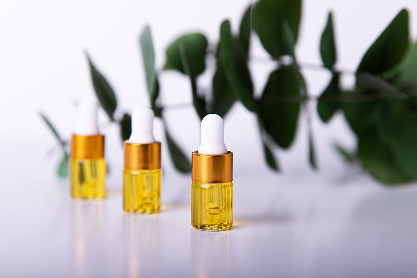 Dermatoloqi Sample Bundle